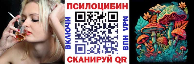 как найти   Красновишерск  Псилоцибиновые грибы Psilocybine cubensis 